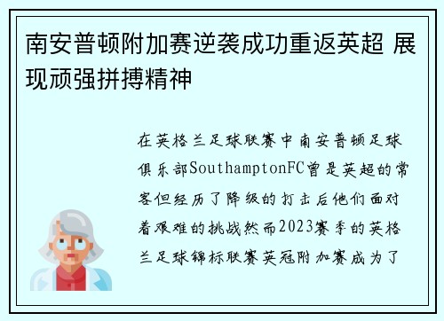 南安普顿附加赛逆袭成功重返英超 展现顽强拼搏精神 南安普顿附加赛逆袭成功重返英超 展现顽强拼搏精神